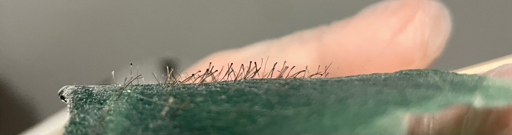 Bikini Wax