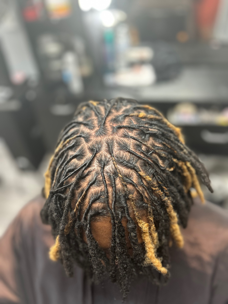Dread Locs Retwist