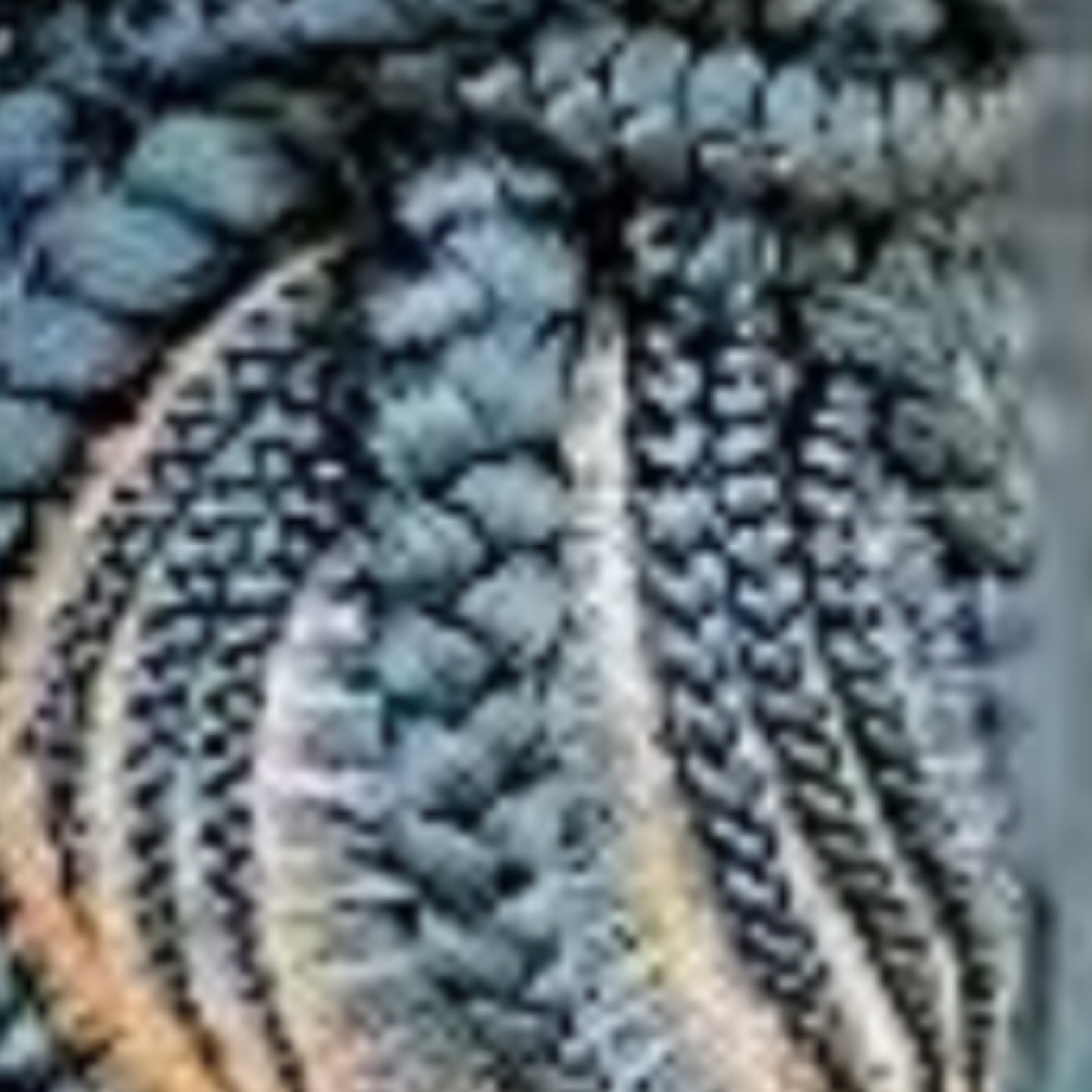 Braided Side Bun at JD Braiding Embassy in Richmond, TX