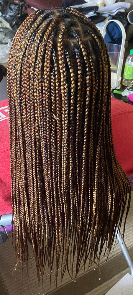 Small Box Braids