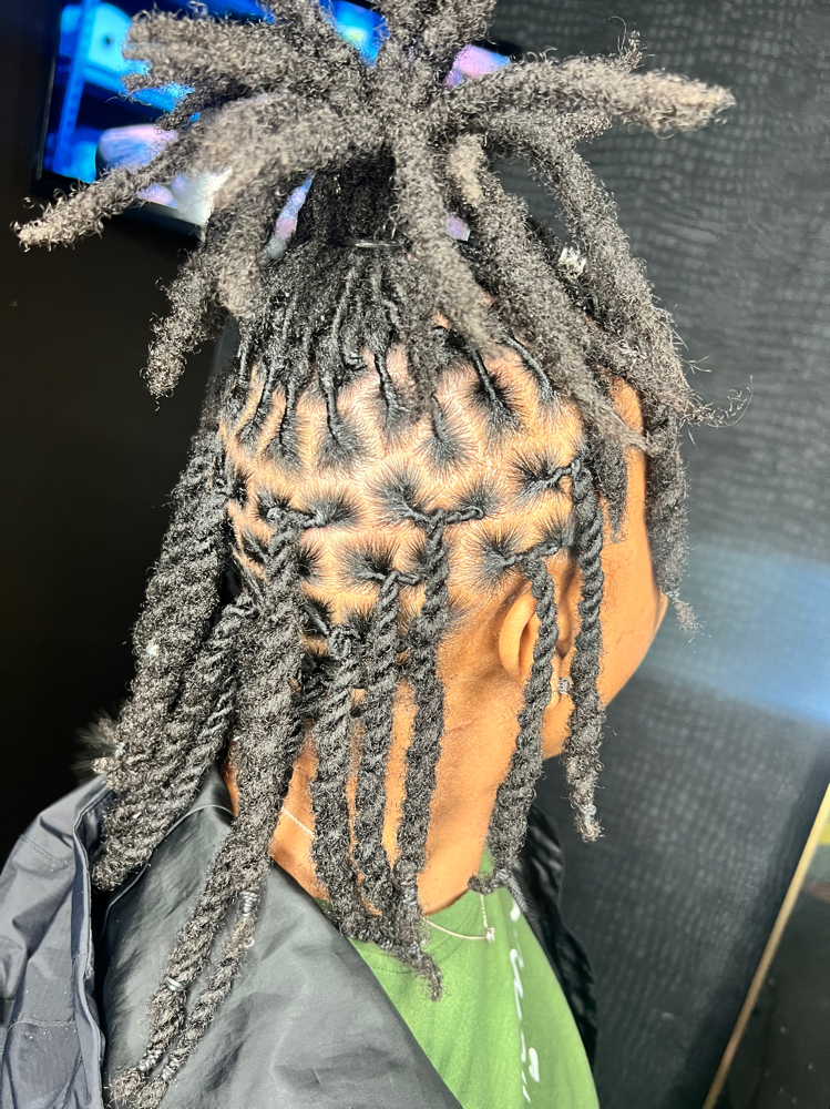Retwist & Style (Mid Back & Above)