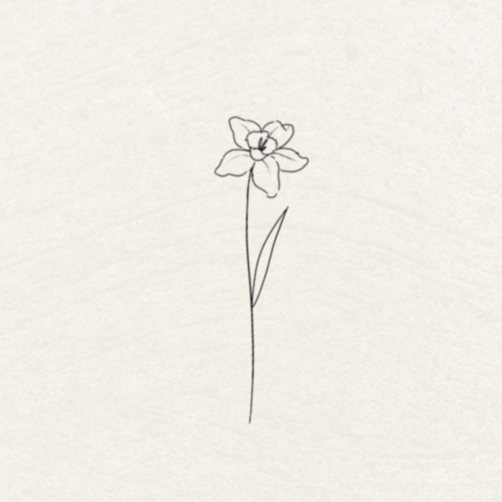Daffodil