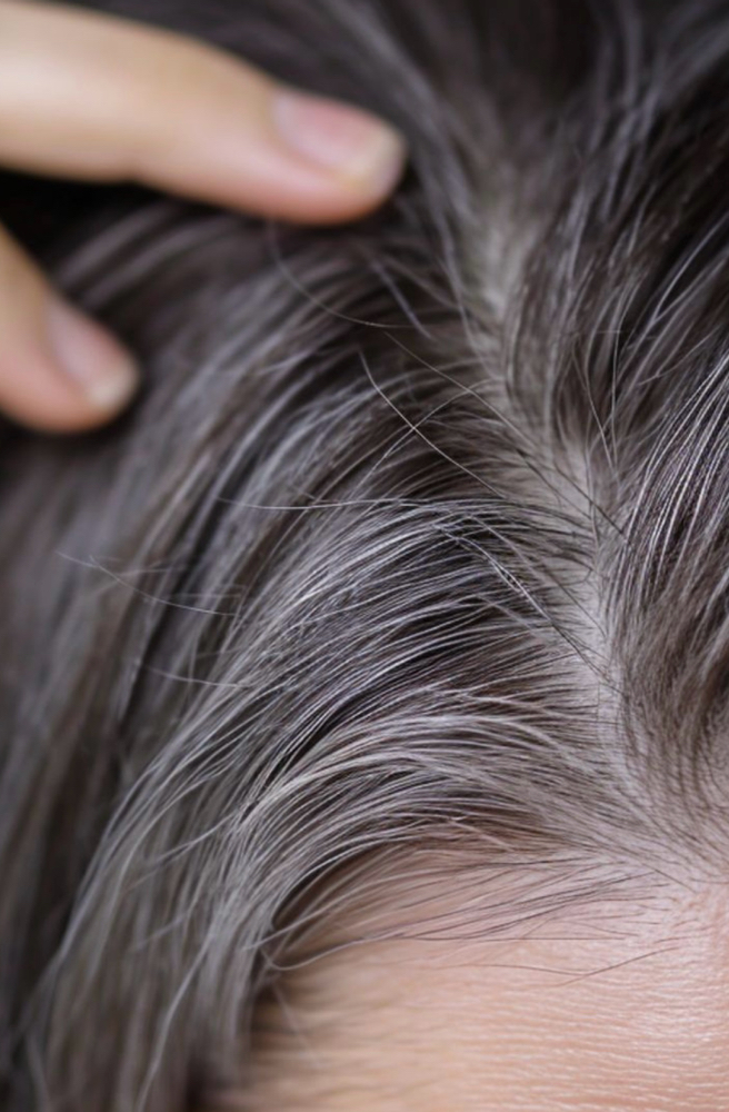 Gray Coverage / Root Retouch