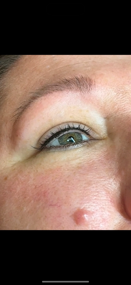 Permanent Eyeliner Top Only