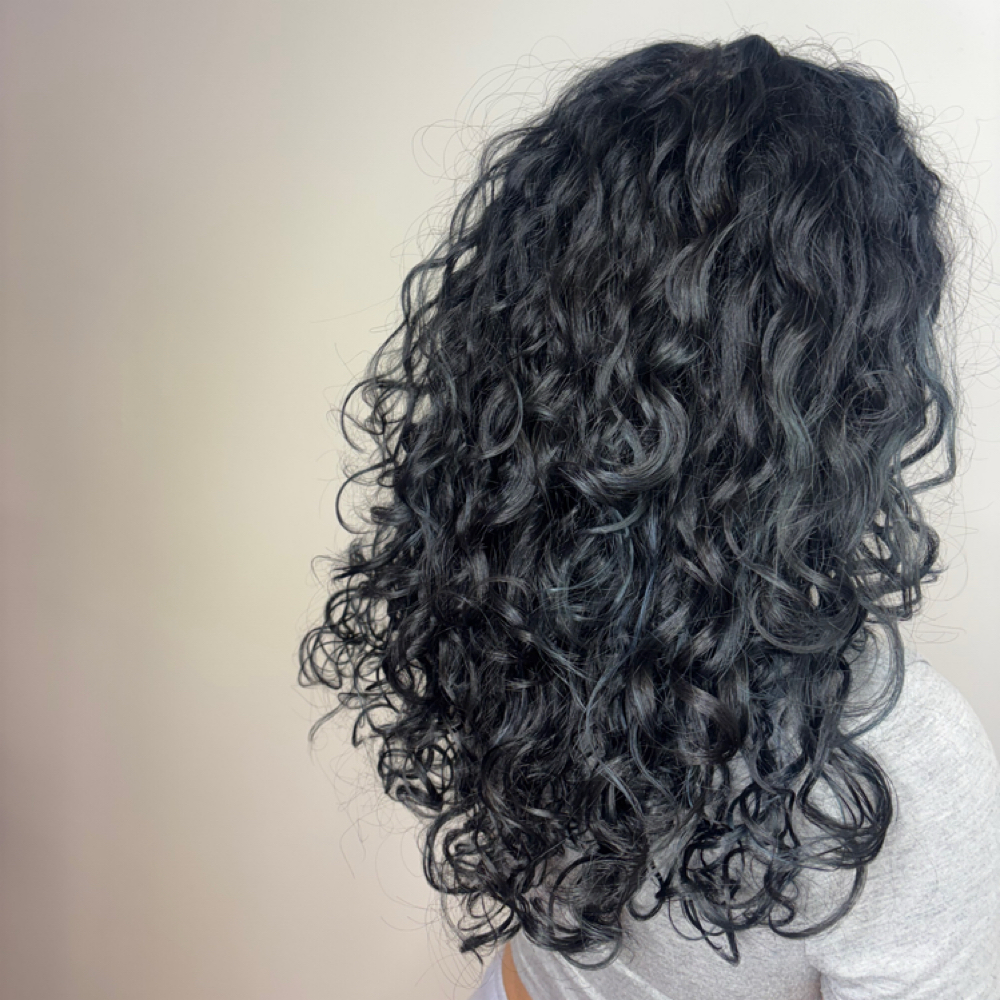Olaplex Bond Shaper Curl Rebuilding at Laisa  Beauty in Pawtucket, RI