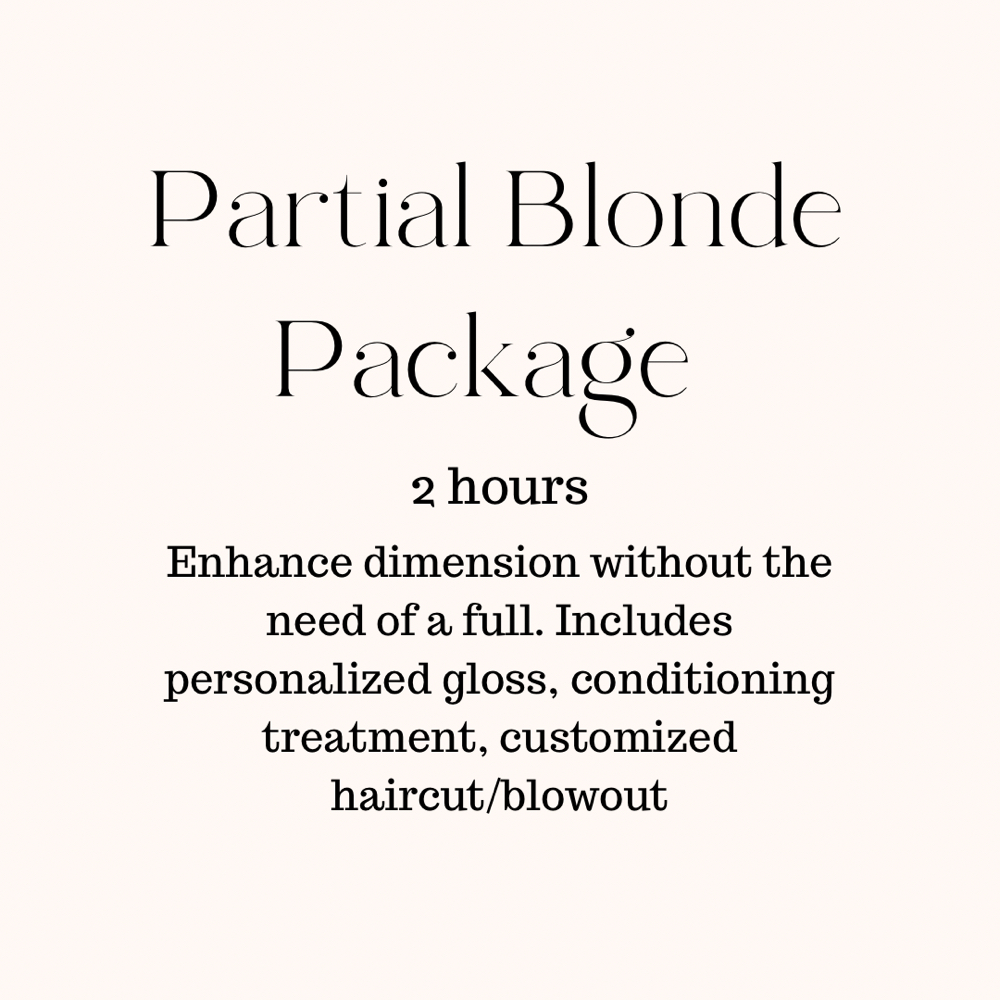Partial Blonde Package at Hair By Melanie in Conshohocken, PA