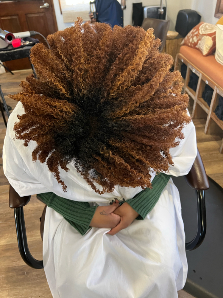 Custom Curly Cut And Hydration