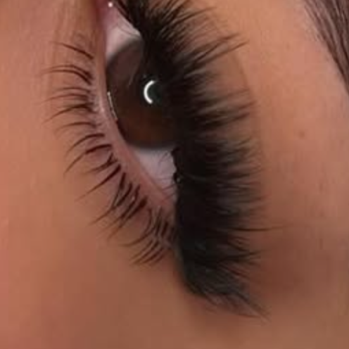 Bottom Lashes