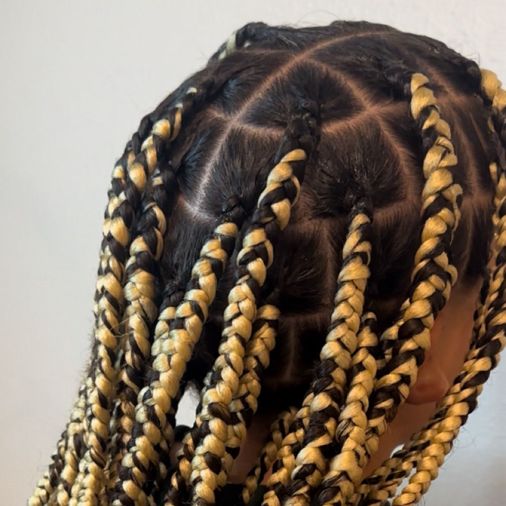 Knotless ( June Package ) at Nat the Braider in Palm Bay, FL