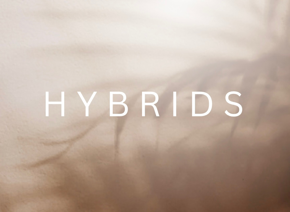 Hybrid Full Set