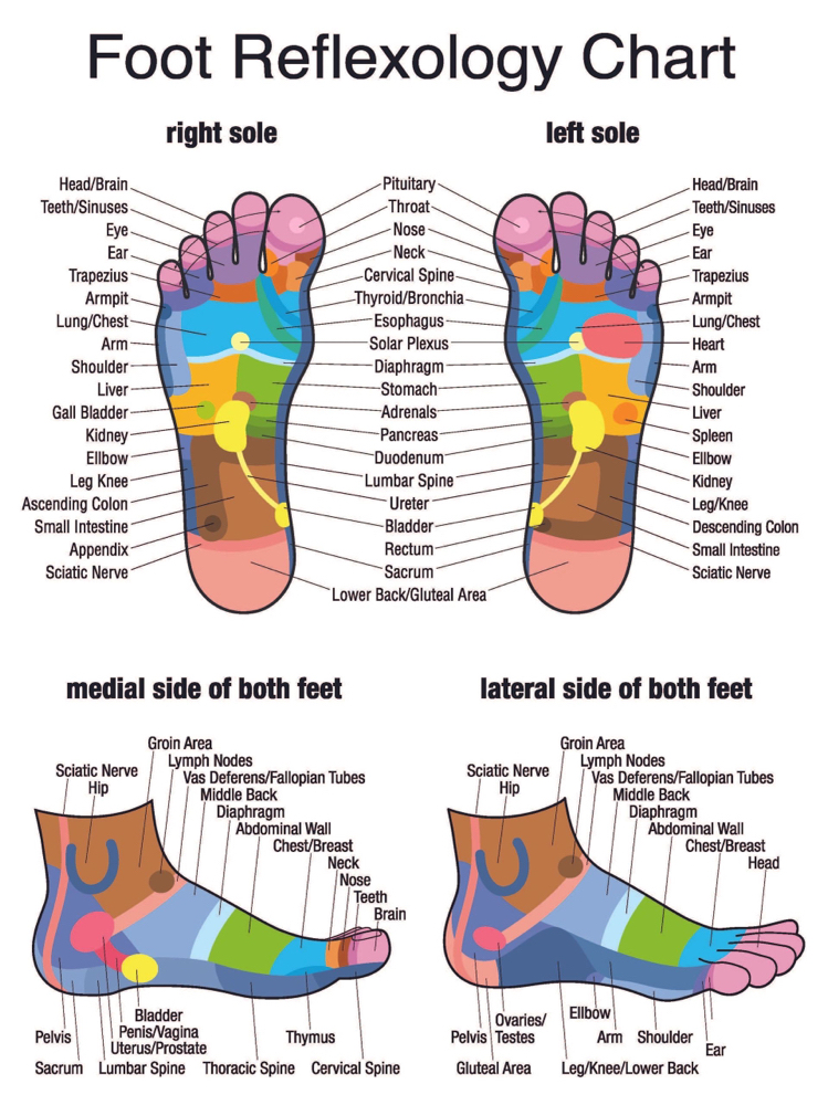 Reflexology feet and hands + feet