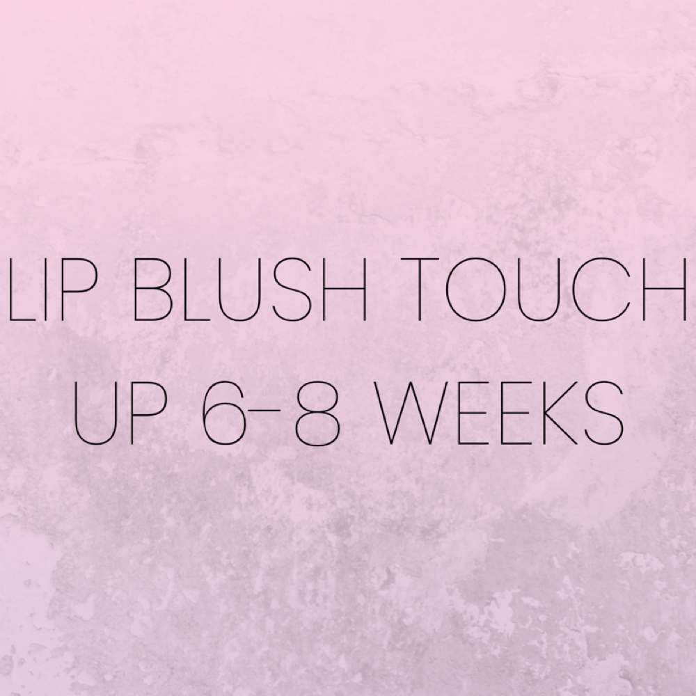 Lip Blush Touch Up 6-8 Weeks at Pink Ink Vancouver in Vancouver, WA
