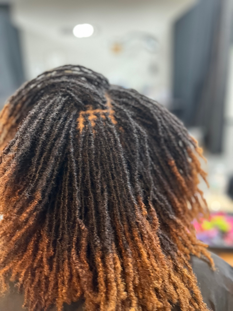 11-12 Week Retie On MICROLOCS at Bebee's Hands in Valdosta, GA
