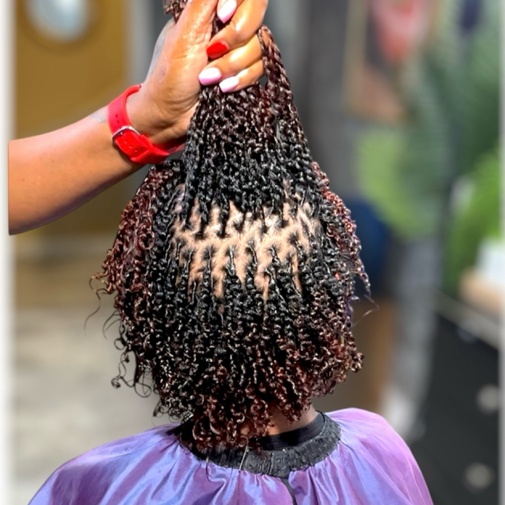 Natural Twist NO NEW CLIENTS at My Knotty Crown in Mesquite, TX