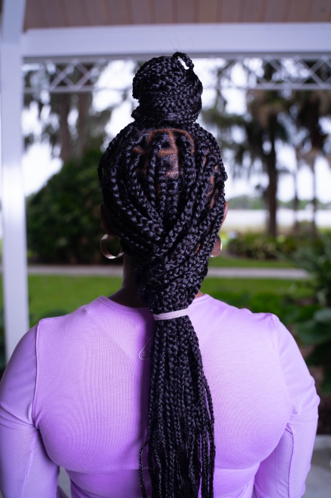 Box Braids/Knotless Medium