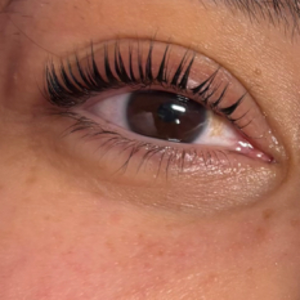 Korean Lash lift and Tint at lashedbycristina LLC in Goshen, IN