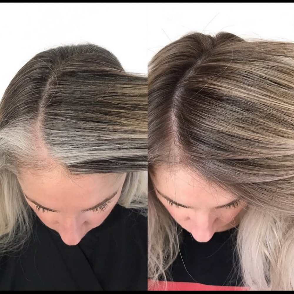 Gray Coverage & Highlight Only at JR Studio in Dearborn, MI