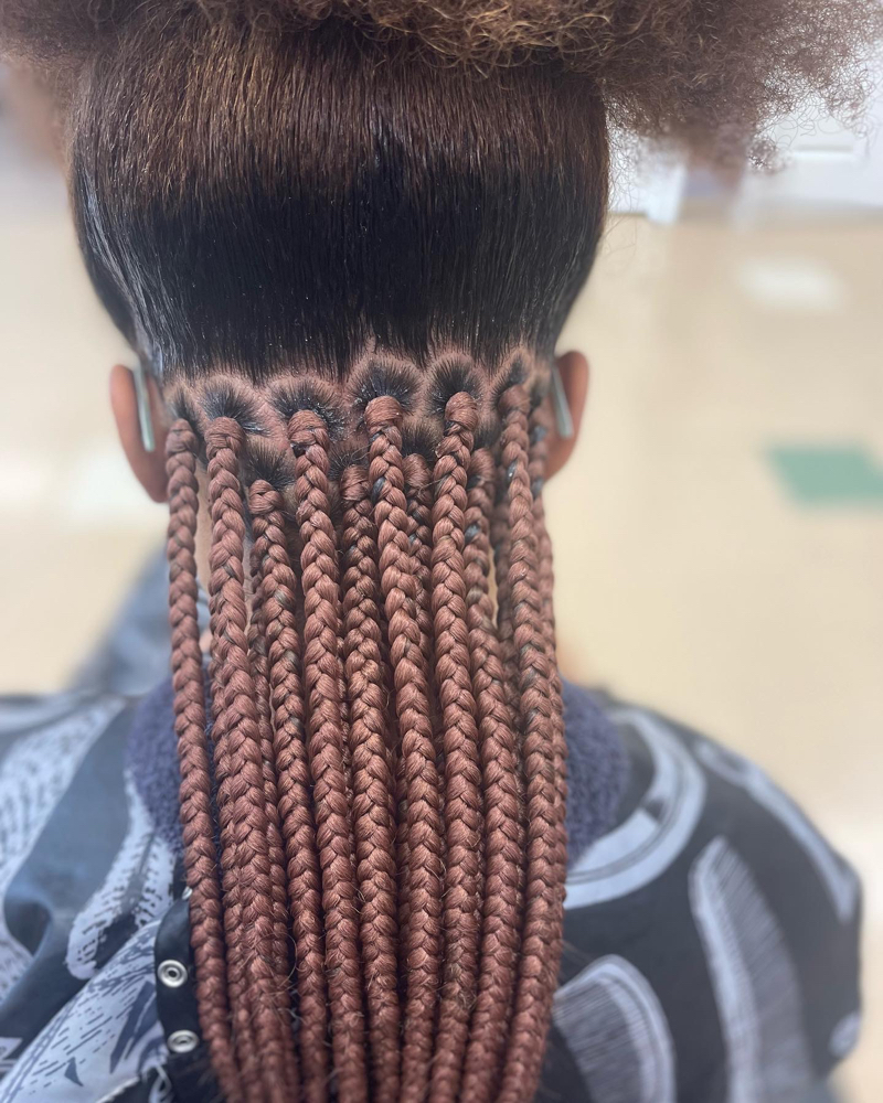 Medium Box Braids