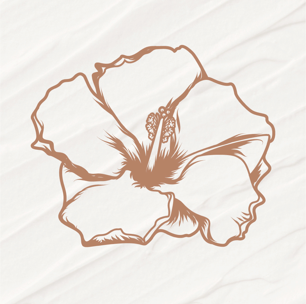 Kiwani Lymphatic Sculpt Facial ™ at Kiwani Beauty in Spokane, WA