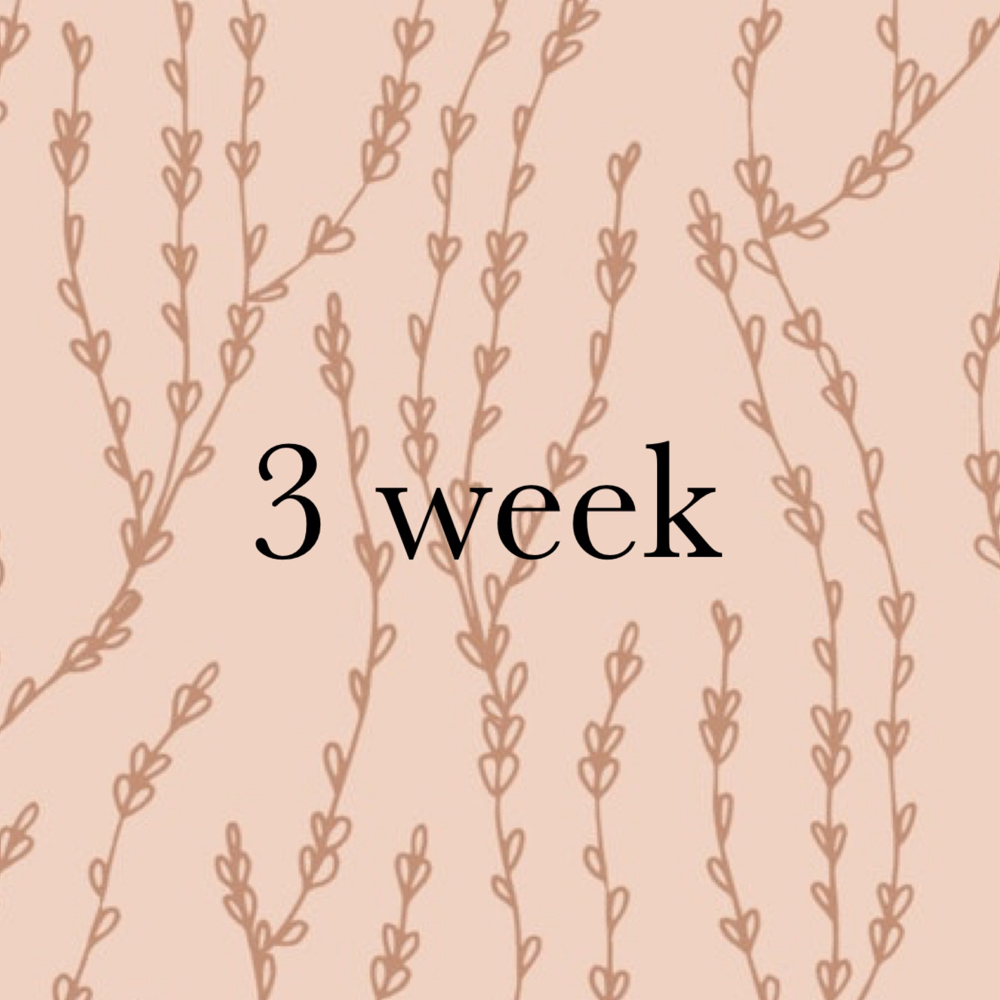 Classic 3 Week Fill
