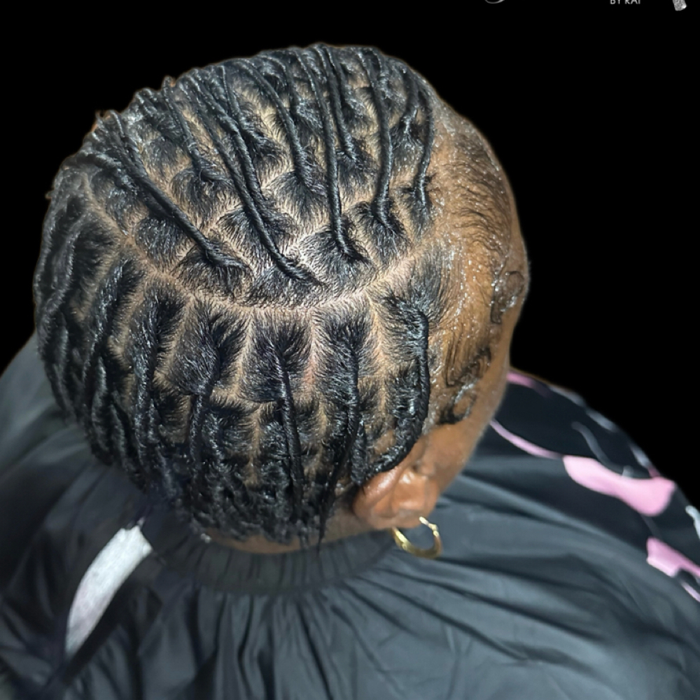 Starter Locs (medium) at Resilient Crown in Milwaukee, WI