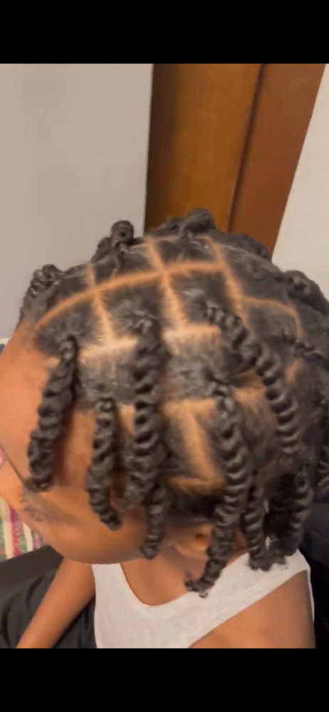 Natural 2 Strand Twist at Cierra Donahue in Waterford, MI