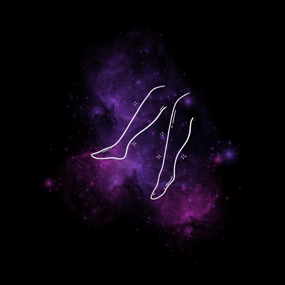 Lower Leg