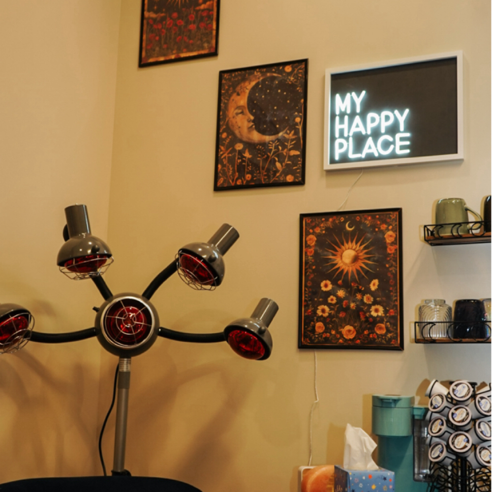 Signature Cut at Moon Phase Mane in Fishers, IN