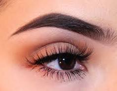 Brow Stain with Mapping