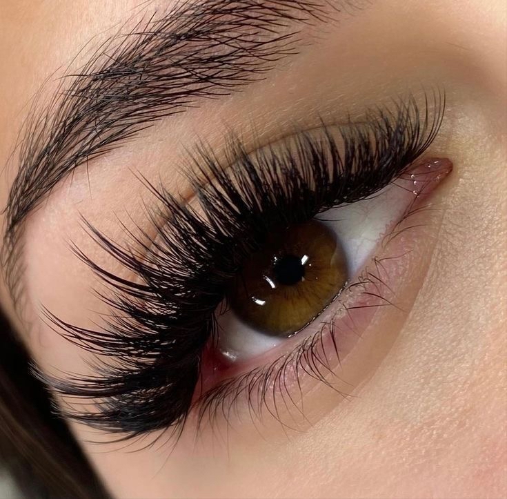Point False Lashes