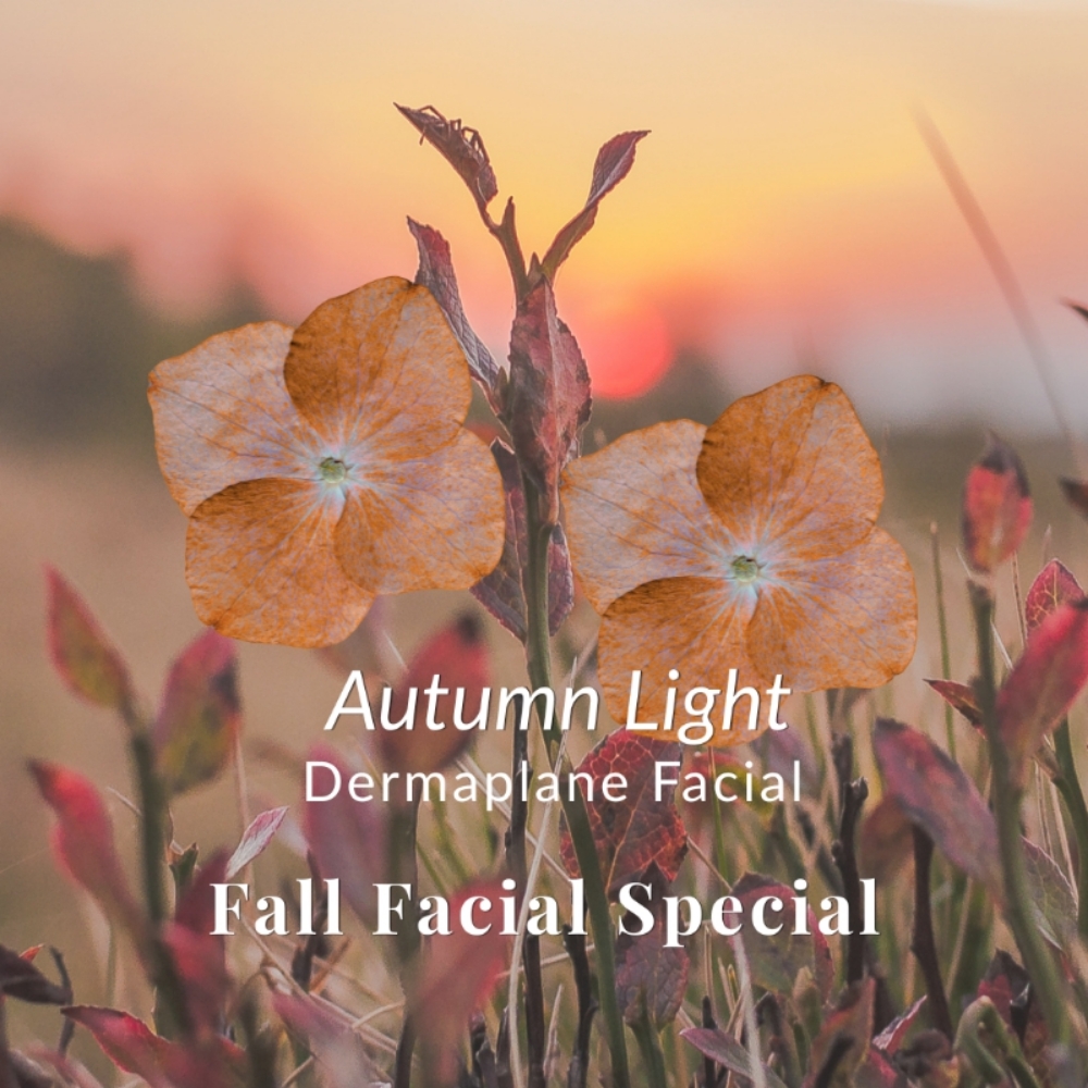 SPECIAL: Dermaplane Facial at KIKI ON THE CAPE in HARWICH PORT, MA