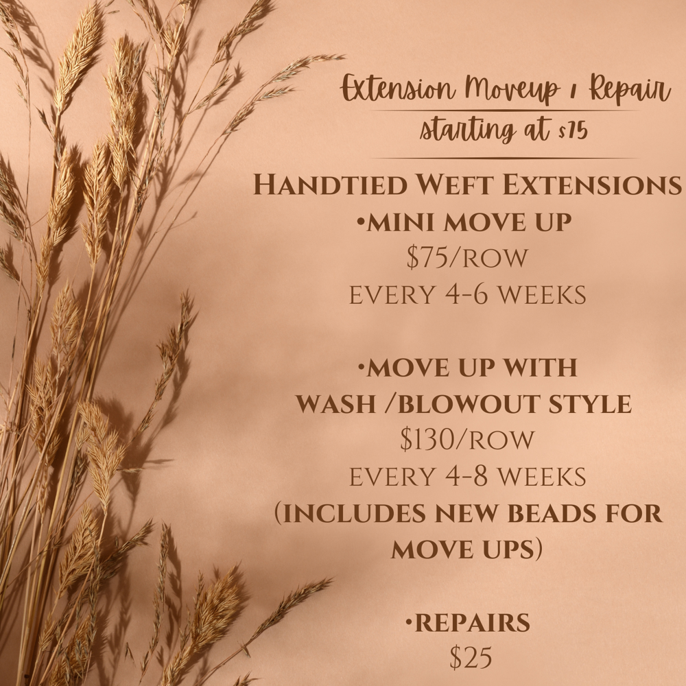 Handtied Weft Extensions