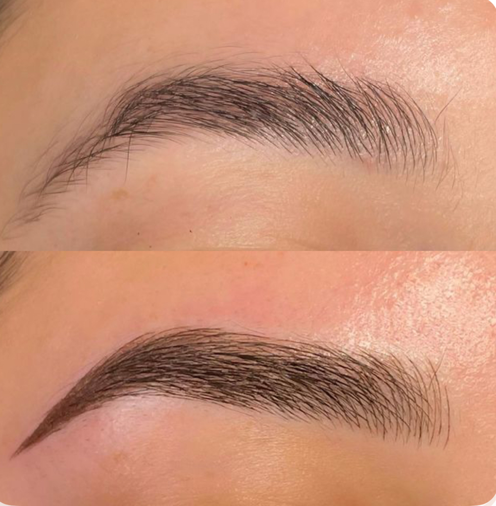 Eyebrow Design + Eyebrow Tint