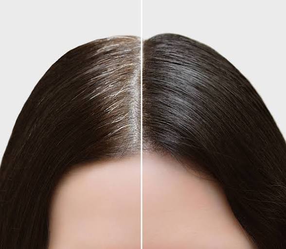 Grey Coverage/Root Touch up