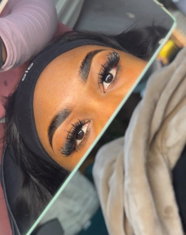 The Sculpted Lami w/ Tint🖤