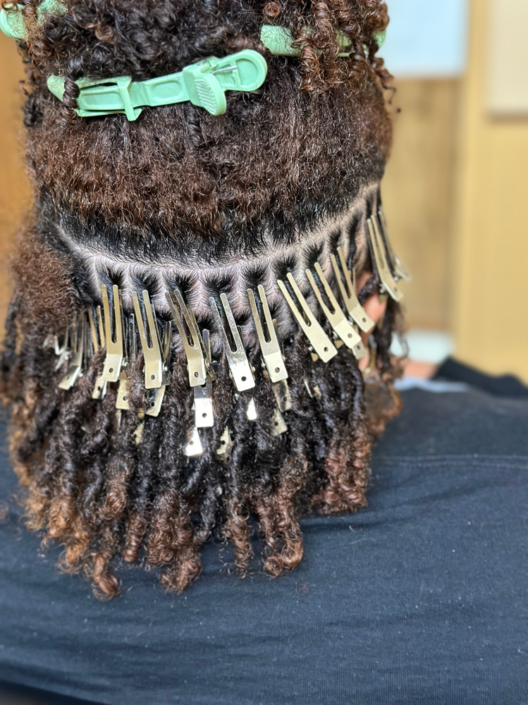 Small Starter Locs