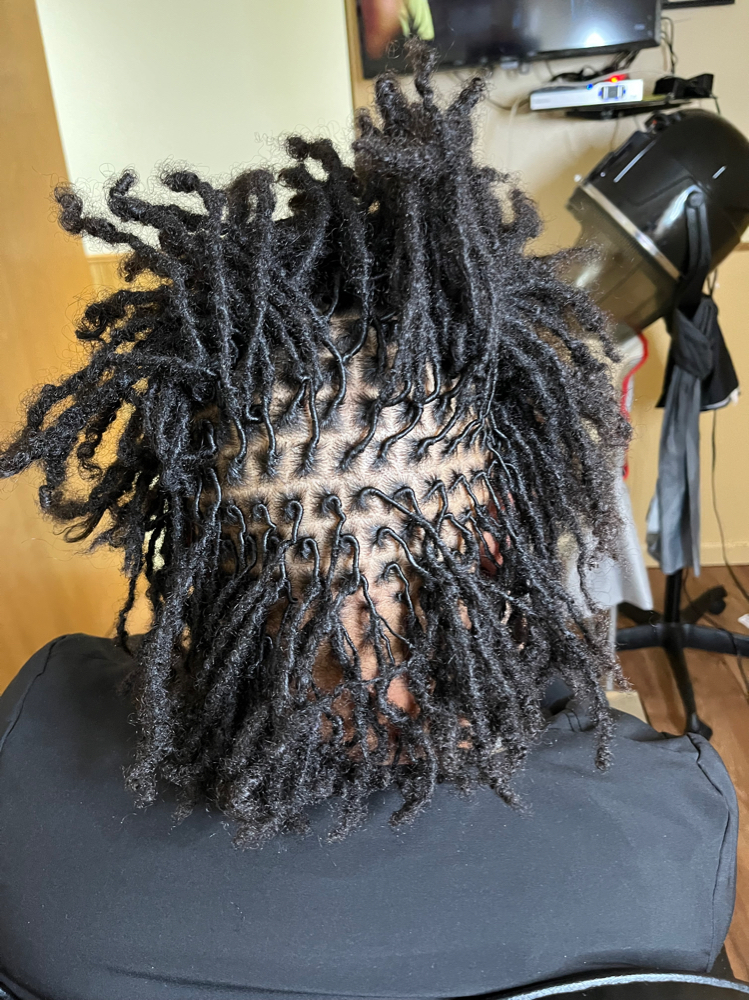 Small Starter Locs