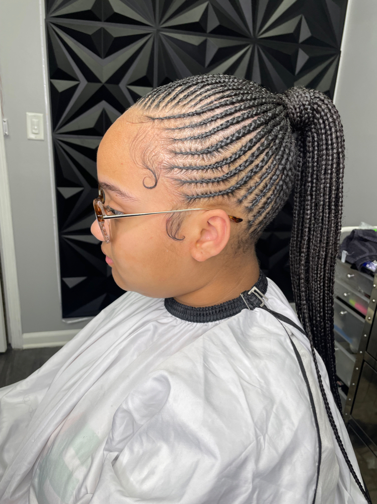 Small Braided Ponytail