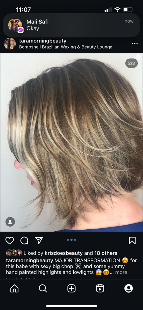 Partial Highlight+Blowdry