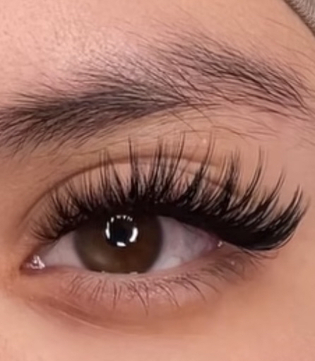 Volume Lash Fill