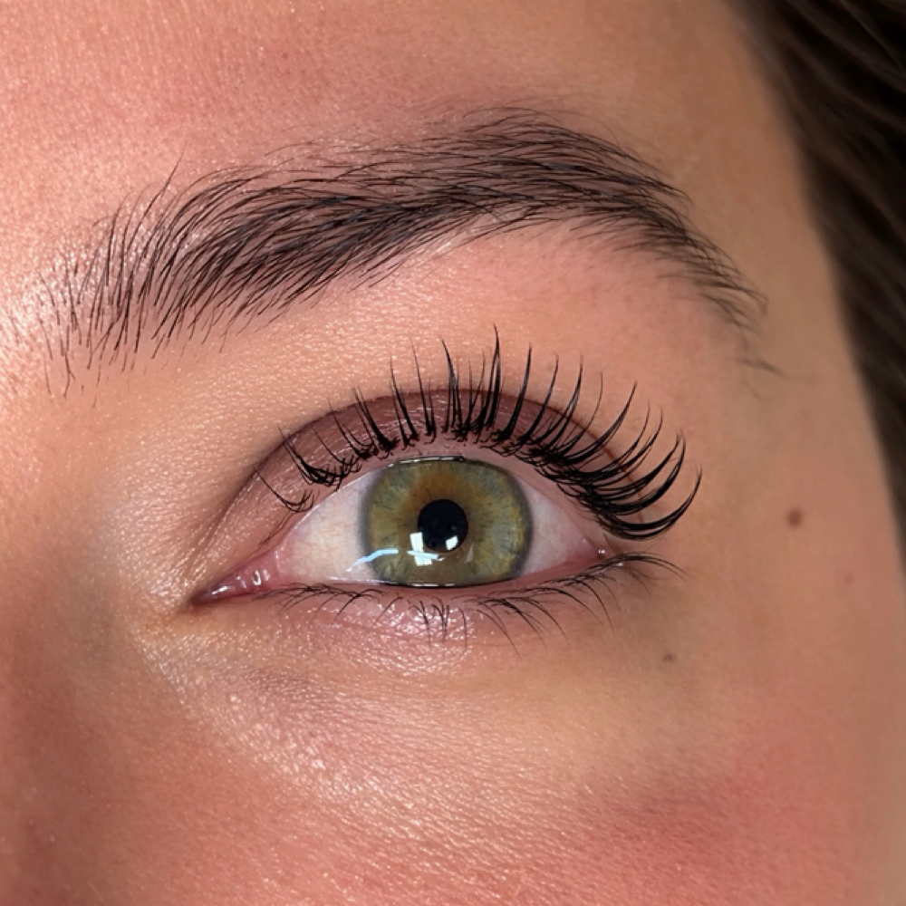 Lash Lift With Tint at Noire lash by sarnavskaia in San Antonio, TX
