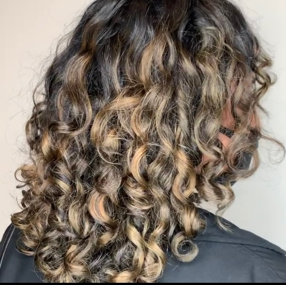 Partial And Root Color + Style