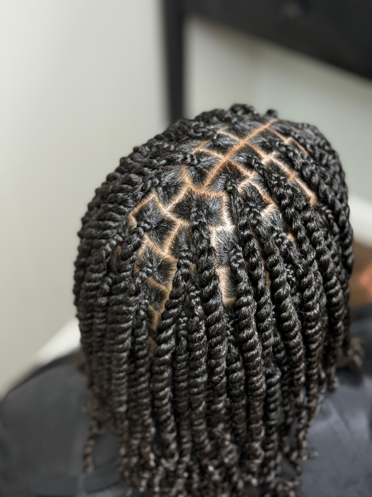 STARTER LOCS TWO STRAND TWIST MTD