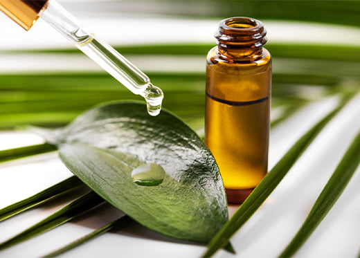 Scalp Scrub Detox With Silvia