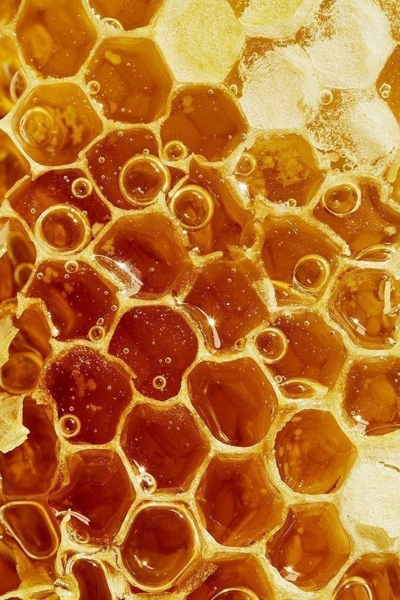Autumn Nectar Facial