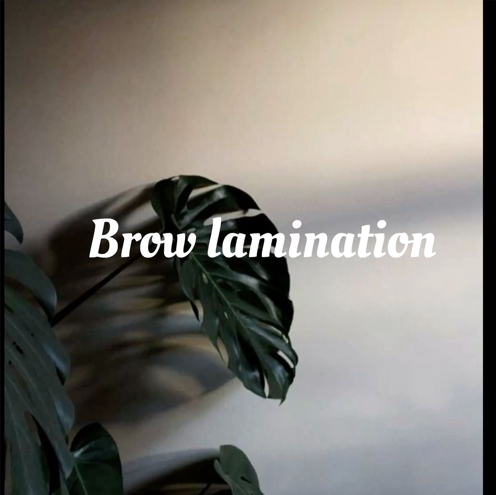 Brow Lamination Combo