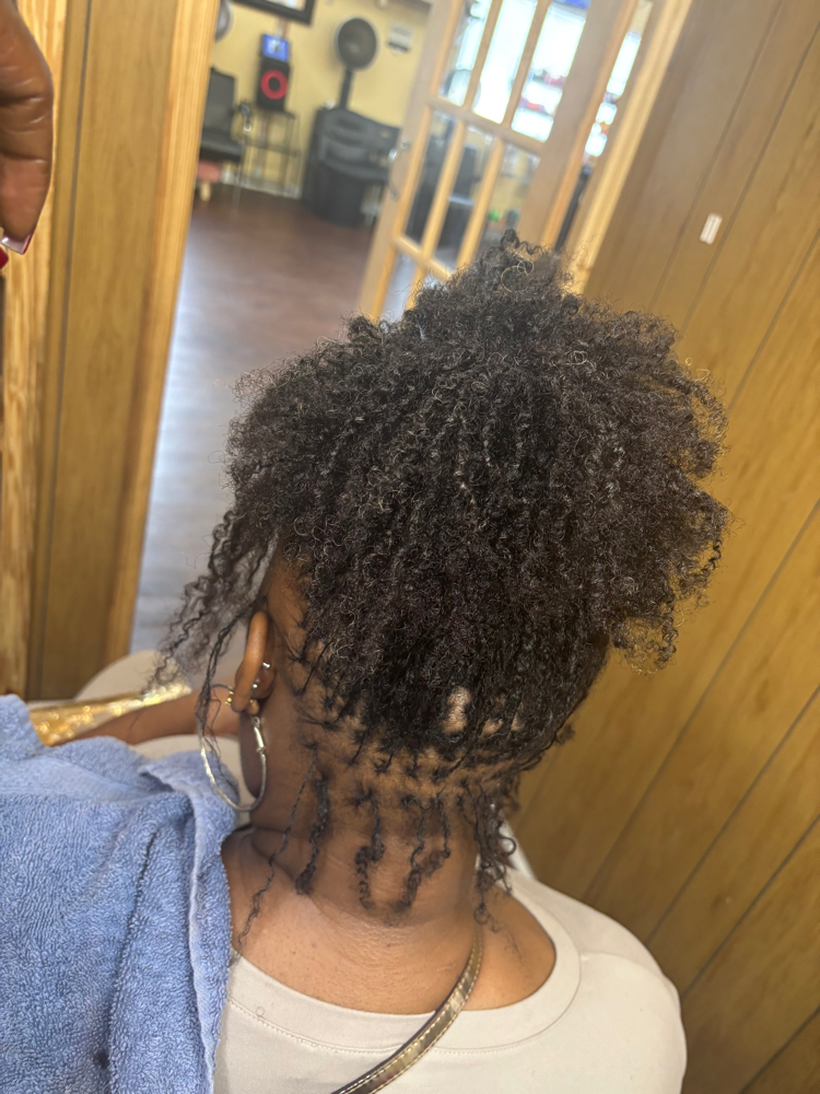 7-10 weeks $200 at CrochetQueenlicia in Augusta, GA