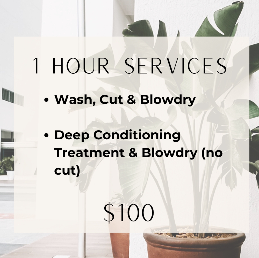 1 Hour at Rylari Hair Studio in North Andover, MA