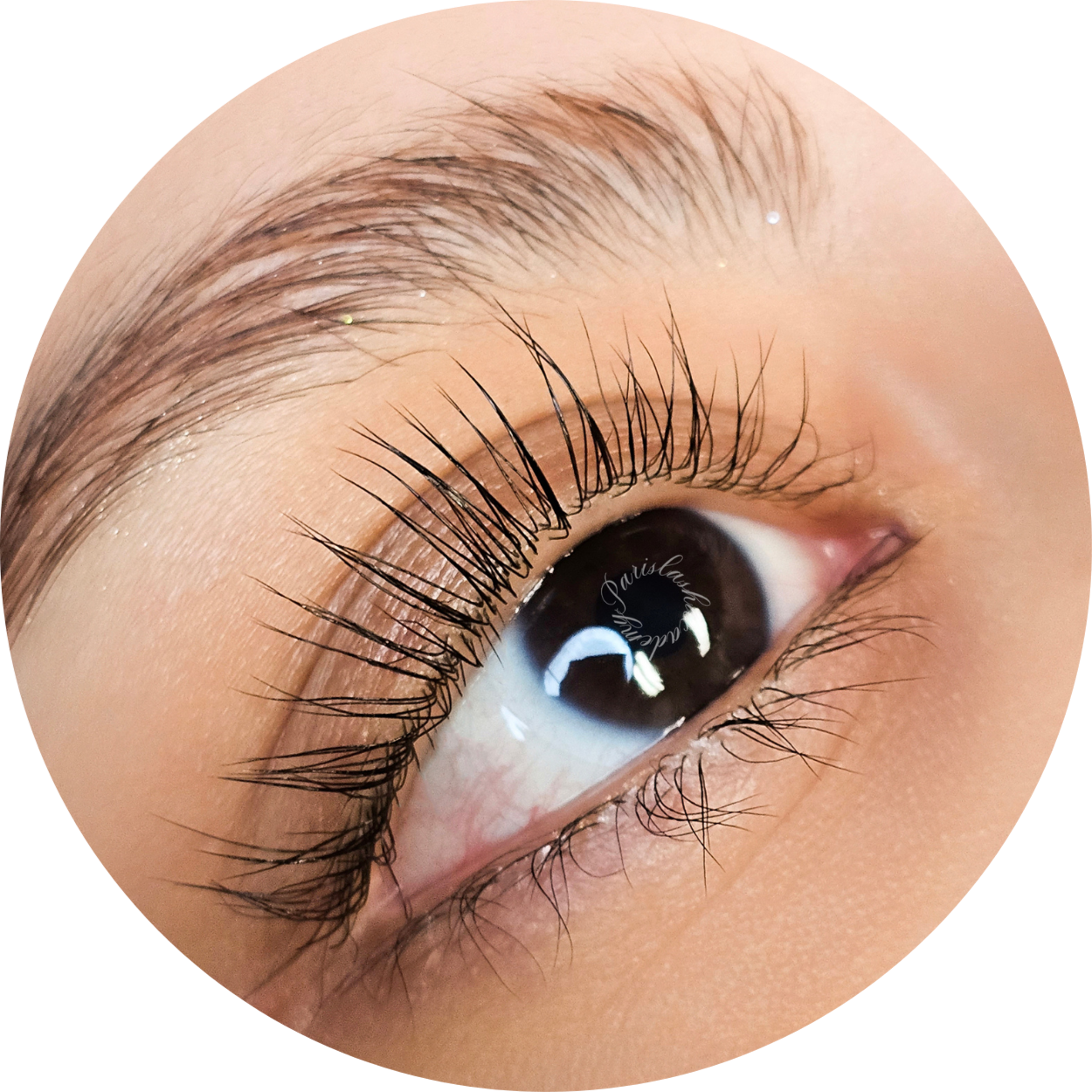 Classic Lash Lift at Rose & Balance Skin Studio in San Diego, CA