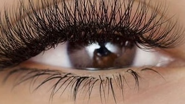 Bottom Lashes at Love at Lash in Hanford, CA